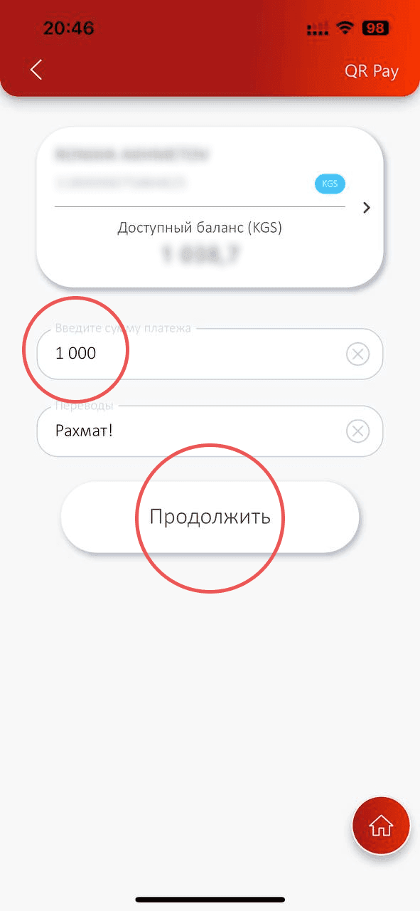 DemirBank: Choose the account from which the payment will be made, enter the amount, and tap "Continue"